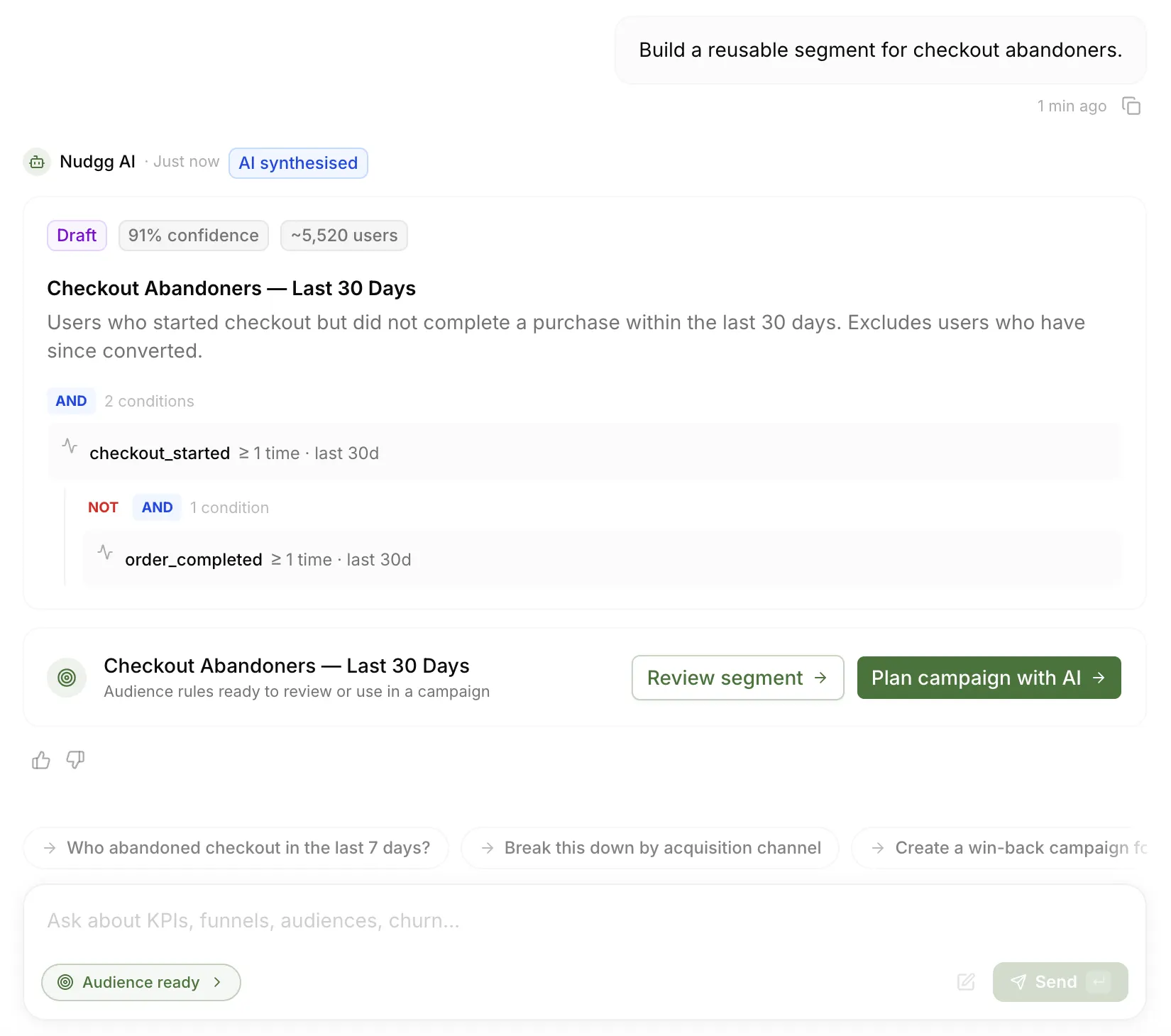 Nudgg Ask AI creating a reusable checkout abandoners segment with confidence, audience rules, and campaign actions